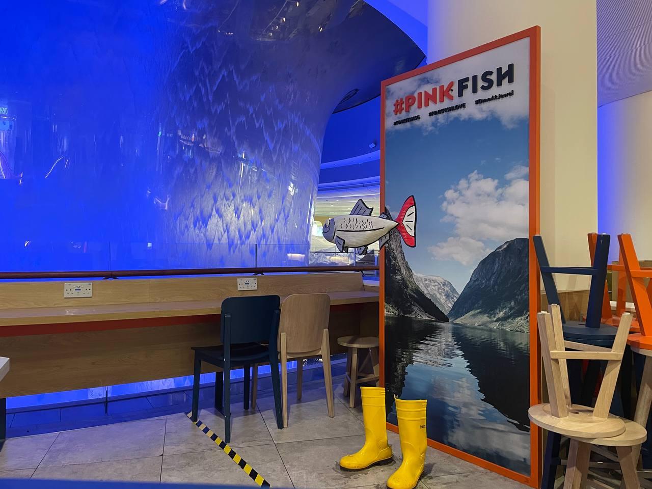 Magic fish